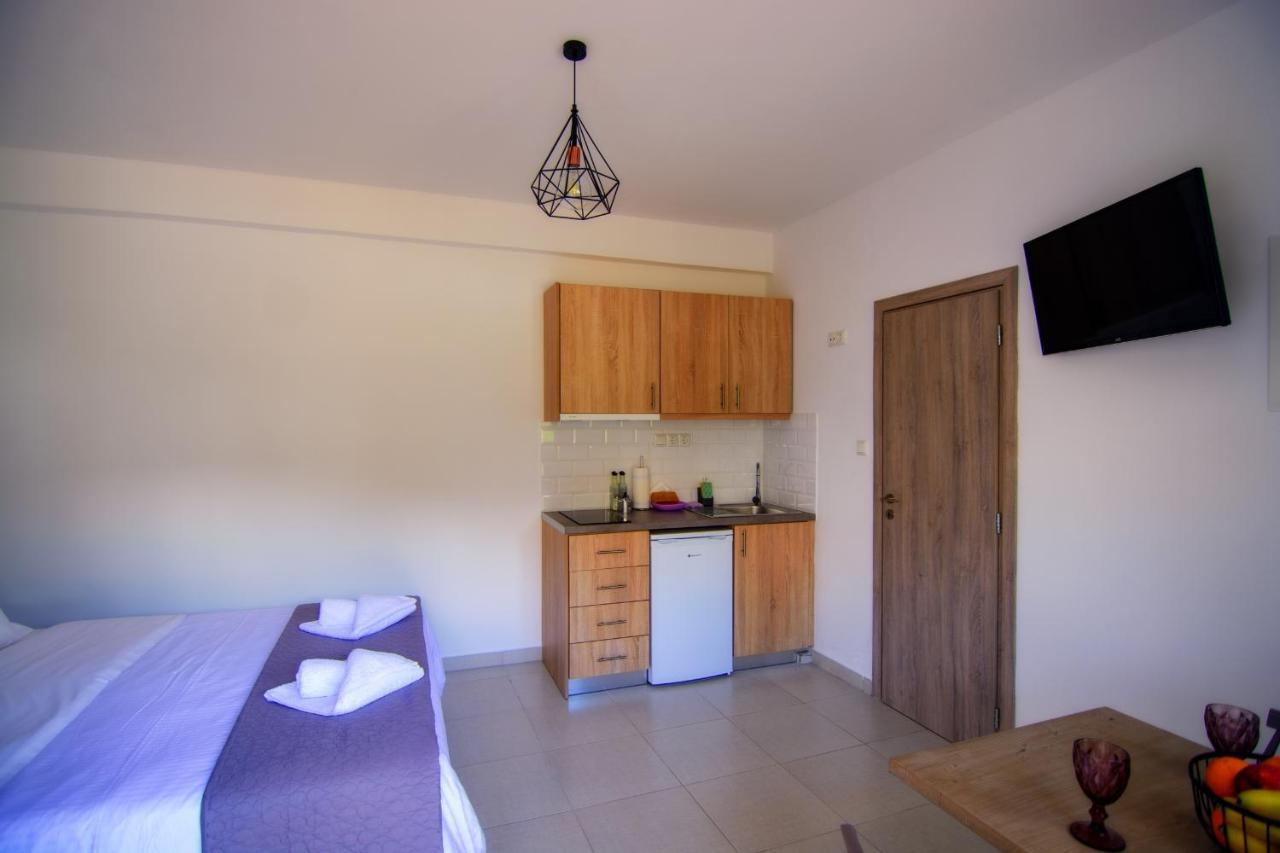 Irene Studio Panorama Apartment Palaiochora Exterior photo